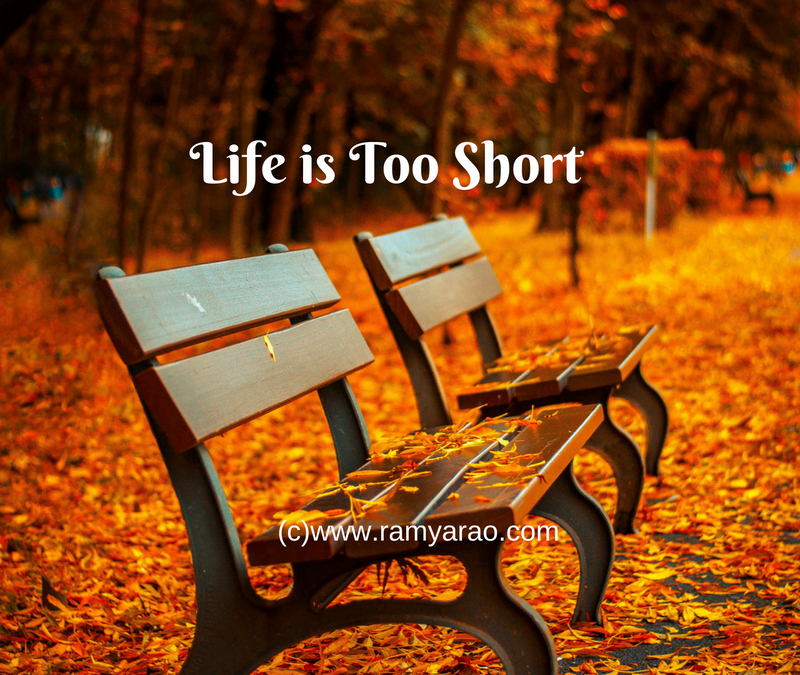 life-is-too-short