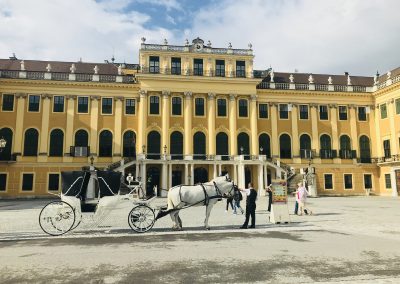 A-Day-In-Vienna