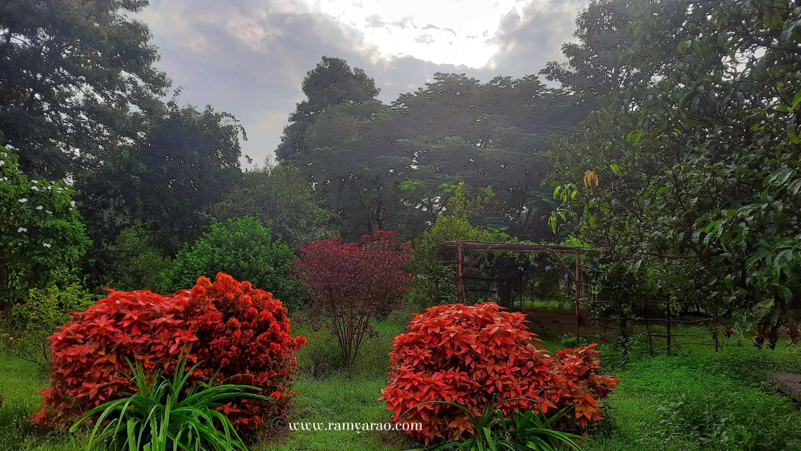 Stay-in-Magnificient-Mango-Mulch-A-Farm-Stay-Review